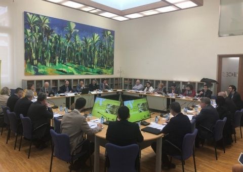 Imagen de la reuni&oacute;n del Comit&eacute; CARM-Brexit.