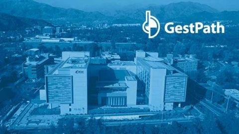 Gestpath.