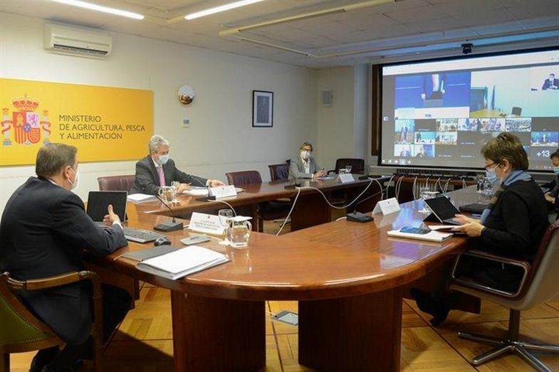 Imagen de la reunión. Imagen de la reunión.
