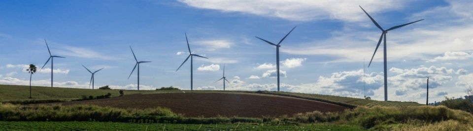 Parque e&oacute;lico (Foto: Repsol).