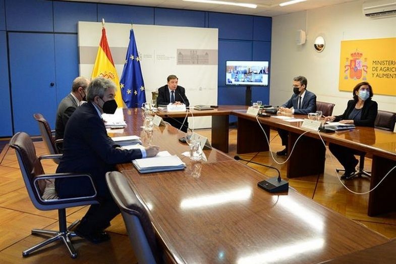 El ministro ha presidido el Consejo Consultivo de Pol&iacute;tica Agr&iacute;cola y Pol&iacute;tica Pesquera para Asuntos Comunitarios.