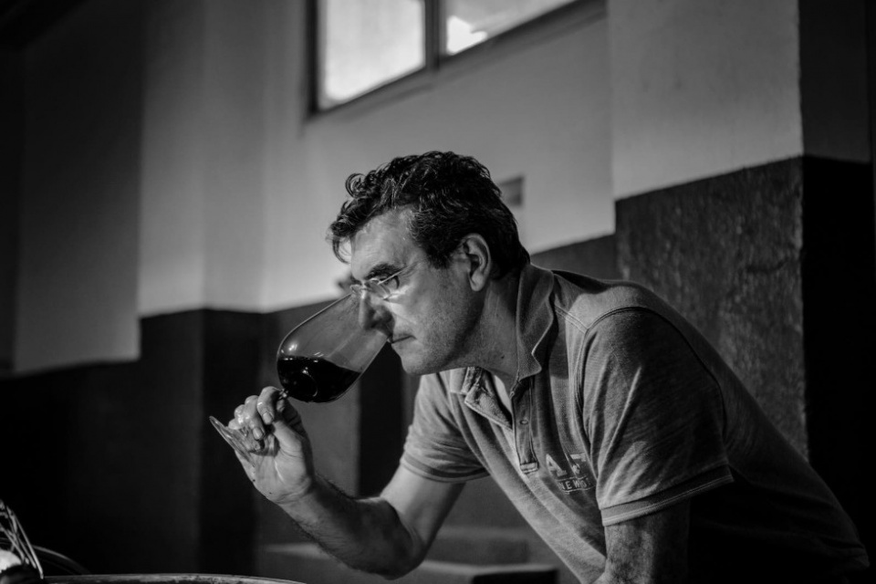 El vino ha conseguido una valoración de 91 puntos en la lista de Wine Spectator. El vino ha conseguido una valoración de 91 puntos en la lista de Wine Spectator.