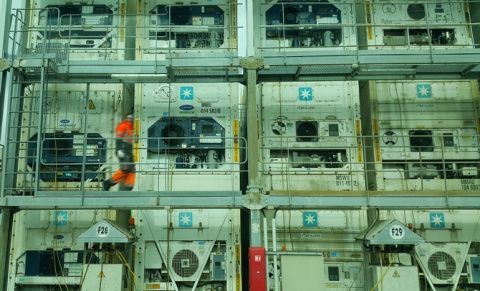 Contenedores reefer APMT Algeciras.