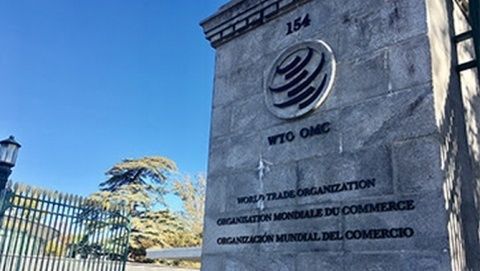 La OMC es la &uacute;nica organizaci&oacute;n internacional que se ocupa de las normas que rigen el comercio entre los pa&iacute;ses.