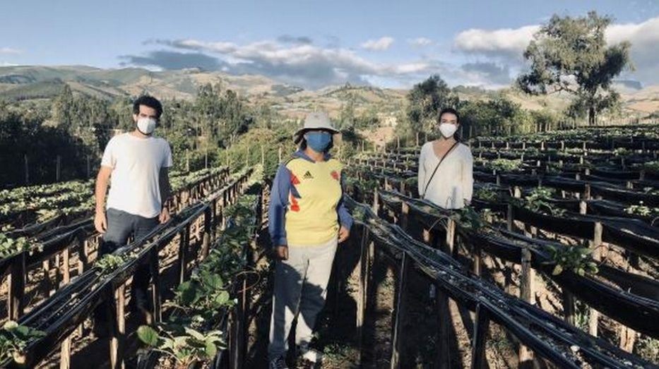 La inversión permitirá a las microfinancieras expandir su alcance a pequeños productores agrarios. La inversión permitirá a las microfinancieras expandir su alcance a pequeños productores agrarios.