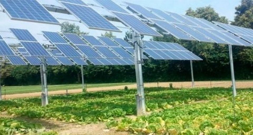 Energ&iacute;a agrovoltaica.