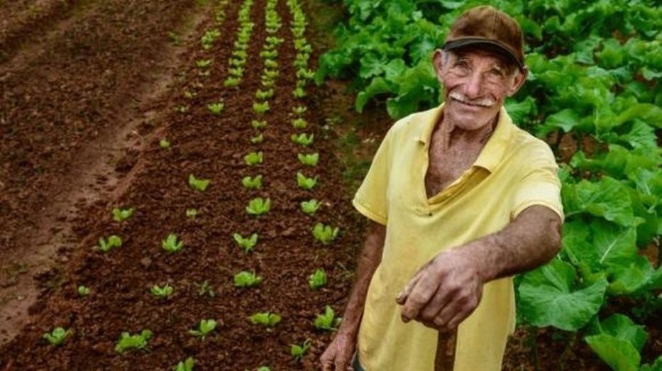 Agricultor.