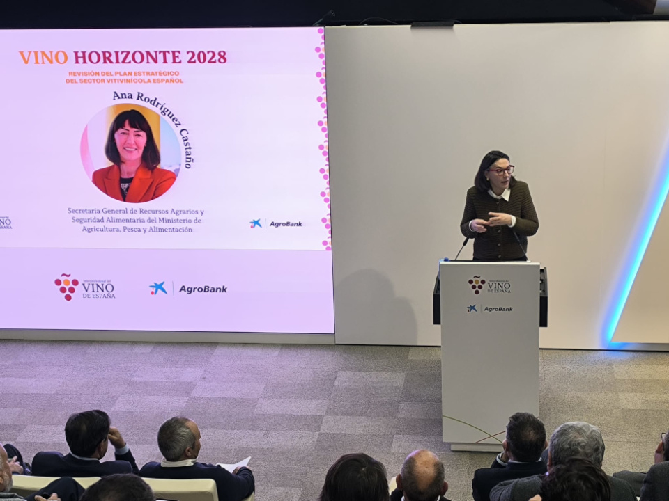 Ana Rodr&iacute;guez subraya que los acuerdos de la Uni&oacute;n Europea con Mercosur, India e Indonesia impulsar&aacute;n la diversificaci&oacute;n y la competitividad del sector vitivin&iacute;cola.