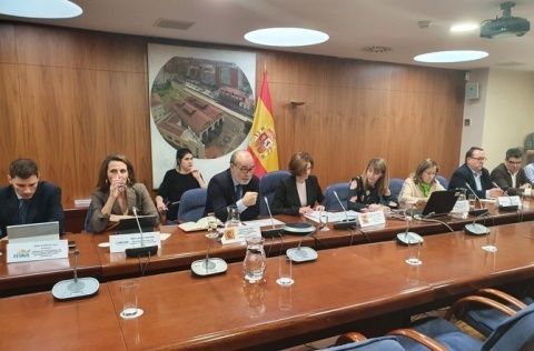 El Consejo de Ministros extraordinario.