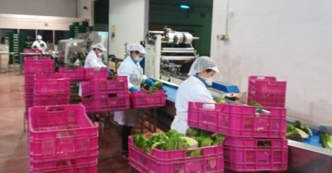 Este protocolo recopila las medidas de prevención que han puesto en marcha distintas empresas asociadas de Proexport. Este protocolo recopila las medidas de prevención que han puesto en marcha distintas empresas asociadas de Proexport.