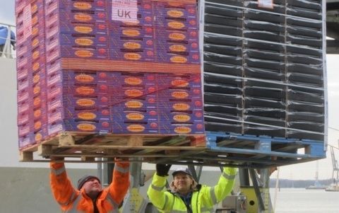 Las empresas exportadoras crecen.