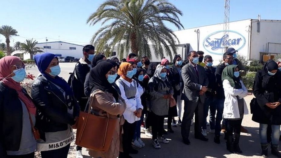 SanLucar emplear&aacute; cada a&ntilde;o a 150 licenciados en agricultura en sus plantaciones tunecinas.