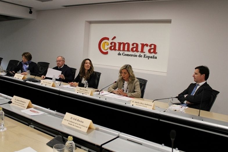 Comisi&oacute;n de Internacionalizaci&oacute;n de la C&aacute;mara de Espa&ntilde;a.