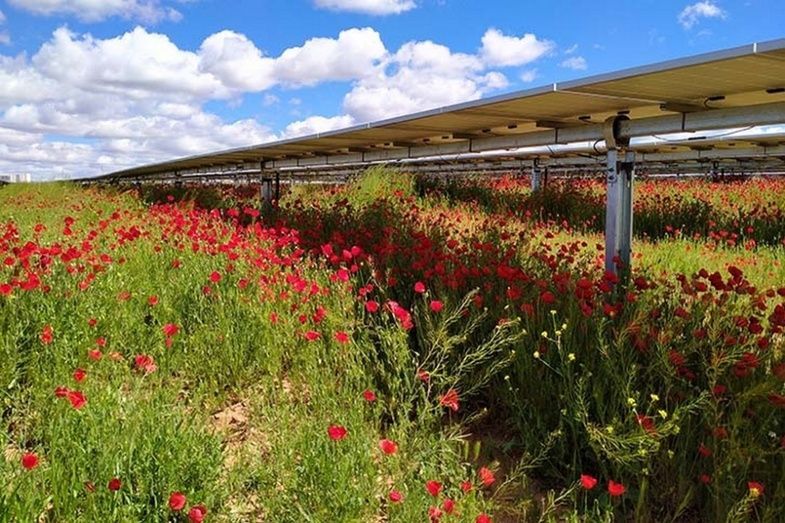 Energ&iacute;a fotovoltaica.