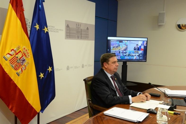 El Ministro español, Luis Planas. El Ministro español, Luis Planas.