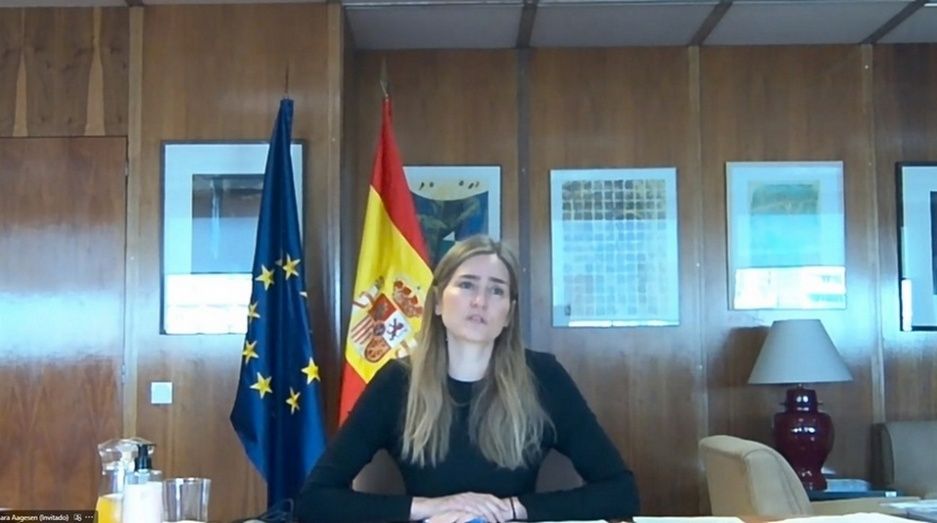 Aagesen ha presentado a los miembros de la Comisi&oacute;n de Energ&iacute;a el PERTE de Energ&iacute;as Renovables, Hidr&oacute;geno Renovables y Almacenamiento (ERHA)
