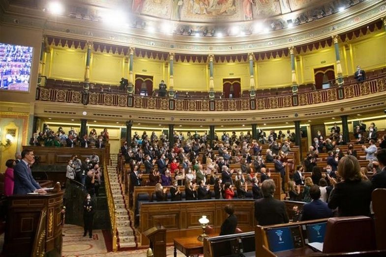 Pedro S&aacute;nchez ante el Congreso.