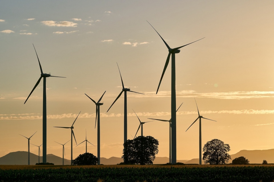 Las empresas e&oacute;licas emplean a m&aacute;s de 40.000 profesionales cualificados que apuestan por una transici&oacute;n energ&eacute;tica sostenible y ordenada.