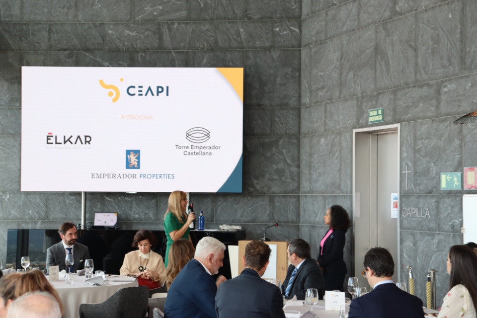 Encuentro de socios CEAPI. Encuentro de socios CEAPI.