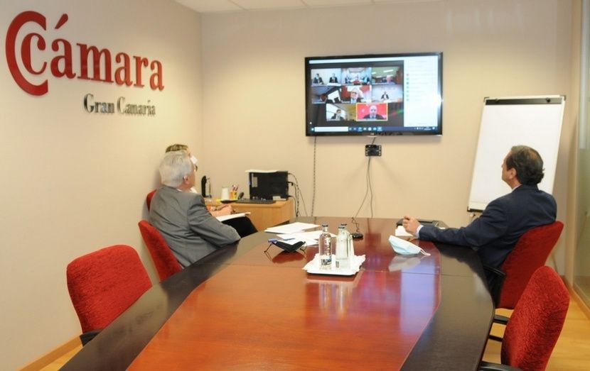 Imagen de la reuni&oacute;n virtual con el Embajador.