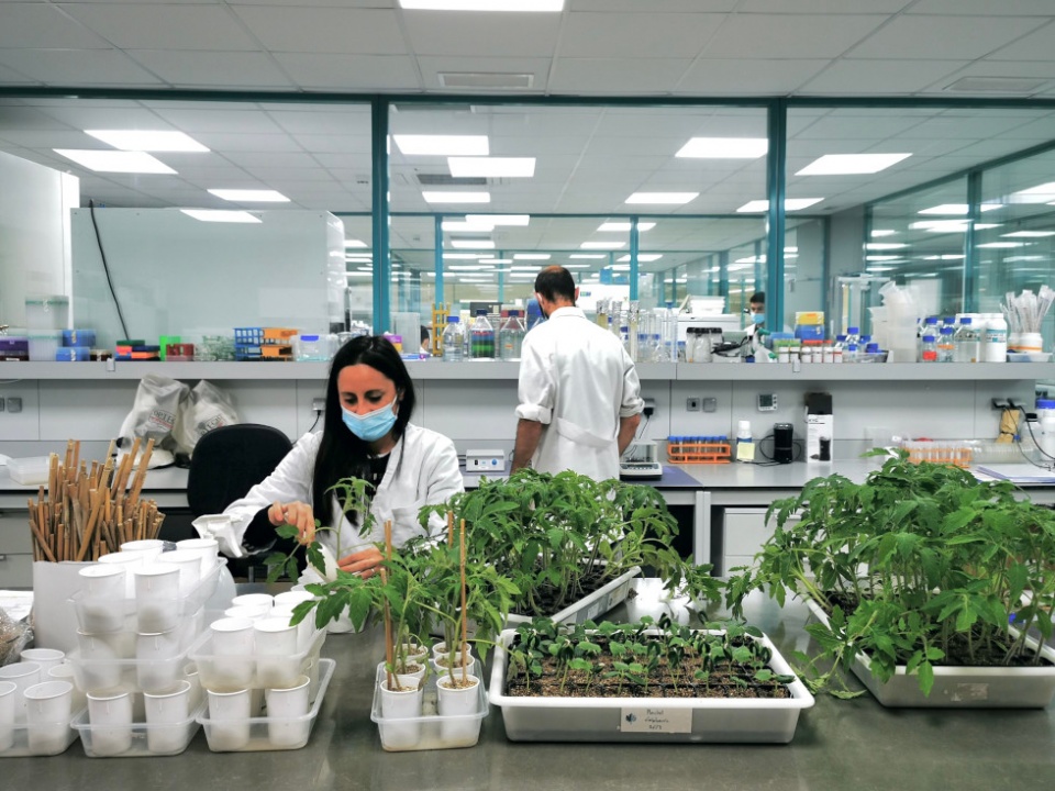 Fundada en 1993 y ubicada en Ol&egrave;rdola (Barcelona), Futureco Bioscience es una empresa que se dedica a la fabricaci&oacute;n de productos agrobiotecnol&oacute;gicos.