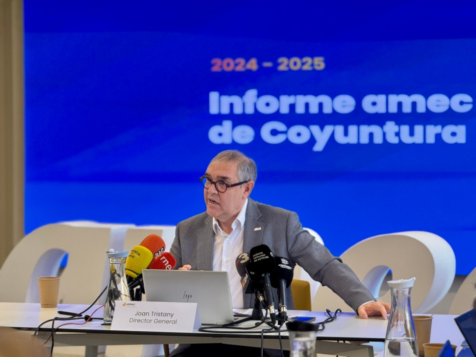 Informe de Coyuntura 2024 y Perspectivas 2025 de amec.