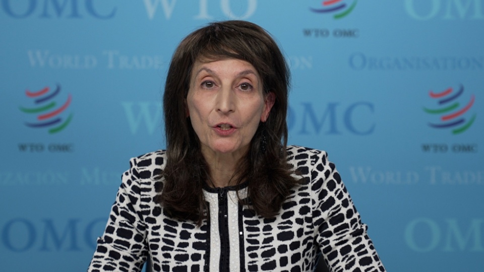 La Directora General Adjunta (DGA) de la Organización Mundial del Comercio (OMC), Angela Ellard. La Directora General Adjunta (DGA) de la Organización Mundial del Comercio (OMC), Angela Ellard.
