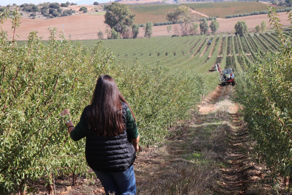 COFIDES e ISFA: Inversión de 25M€ para agricultura sostenible. COFIDES e ISFA: Inversión de 25M€ para agricultura sostenible.