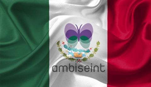 Ambiseint. Ambiseint.