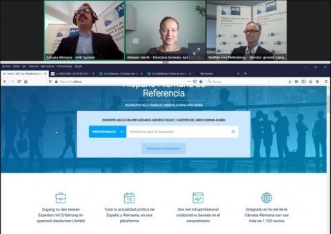 Webinar de presentación de LEX. Webinar de presentación de LEX.