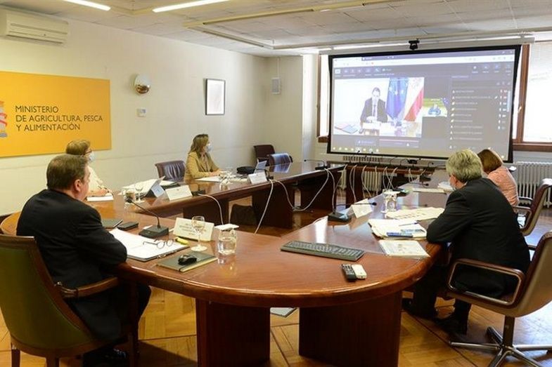 La reuni&oacute;n se realiz&oacute; por videoconferencia.