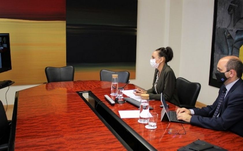 La videoconferencia de trabajo. La videoconferencia de trabajo.