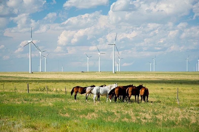 Parque e&oacute;lico de Iberdrola en Colorado, EE.UU.