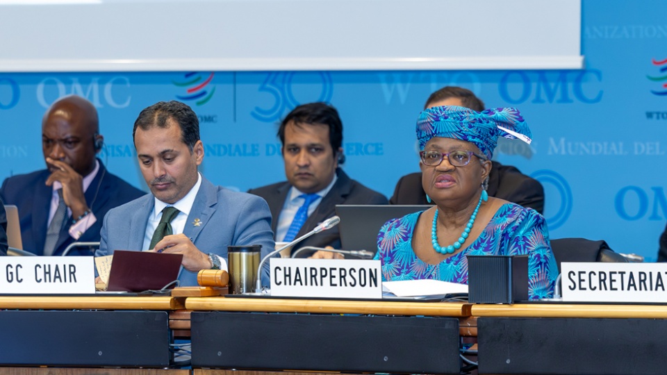 La DG Okonjo-Iweala afirma que hay un amplio acuerdo sobre la reforma de la OMC como &ldquo;prioridad indiscutible&rdquo; para la CM14 La DG Okonjo-Iweala (Foto: OMC)