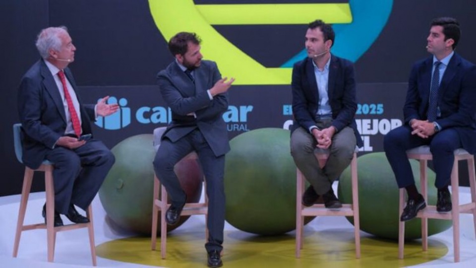 Cajamar Caja Rural ha reafirmado su sólido compromiso con el sector oleícola. Cajamar Caja Rural ha reafirmado su sólido compromiso con el sector oleícola.