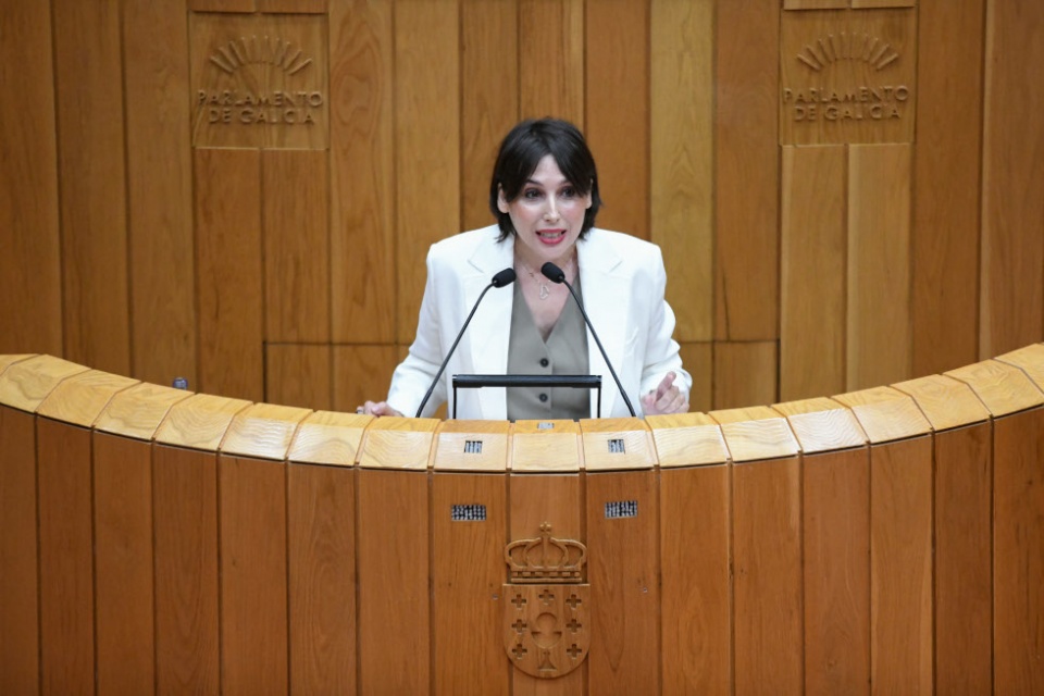La conselleira de Econom&iacute;a e Industria, Mar&iacute;a Jes&uacute;s Lorenzana.