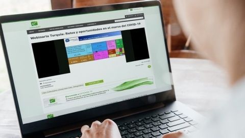 Webinario Turqu&iacute;a.
