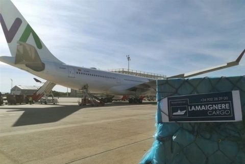 Imagen de una de las cargas de Lamaignere.