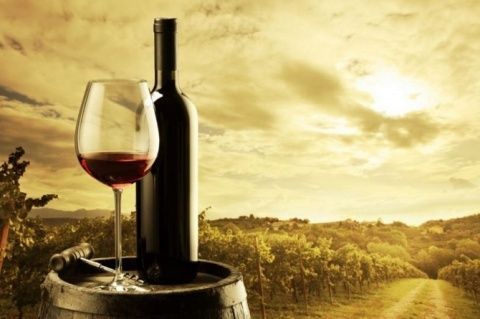 Vino español. Vino español.