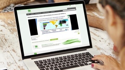 Webinar retos y oportunidades del mercado franc&eacute;s.