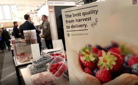 Frutos rojos, Fruitlogistica. Frutos rojos, Fruitlogistica.