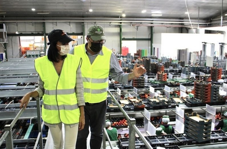 La consejera de Empresa, Empleo, Universidades y Portavocía, Valle Miguélez, durante una visita a Frutas Maripí. La consejera de Empresa, Empleo, Universidades y Portavocía, Valle Miguélez, durante una visita a Frutas Maripí.