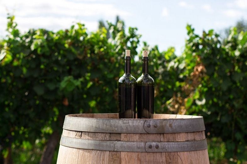 Vino ecol&oacute;gico (Imagen: SOW).