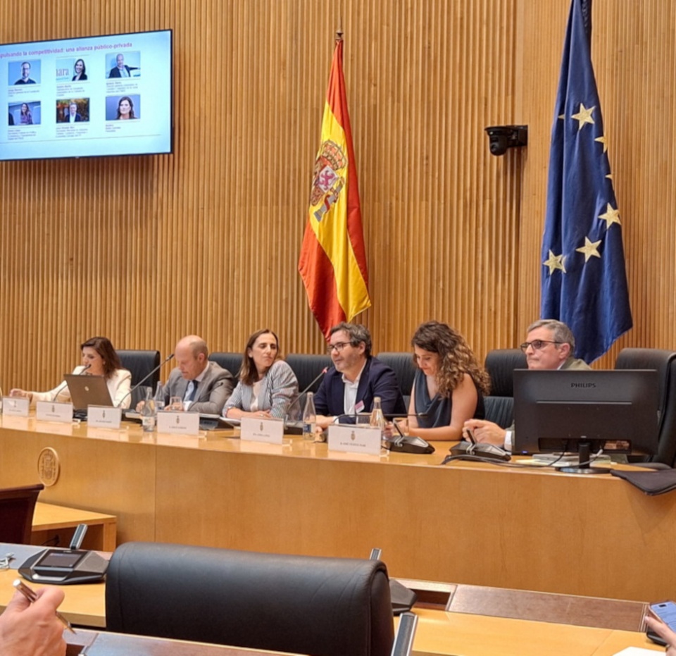 El documento se ha dado a conocer en el Congreso de los Diputados. El documento se ha dado a conocer en el Congreso de los Diputados.