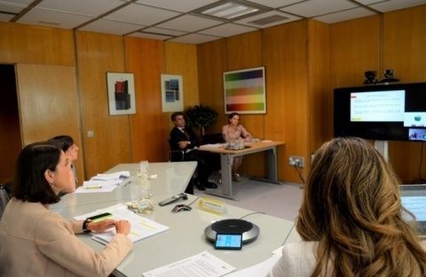 Reuni&oacute;n del Consejo de Orientaci&oacute;n Estrat&eacute;gica de ICEX.