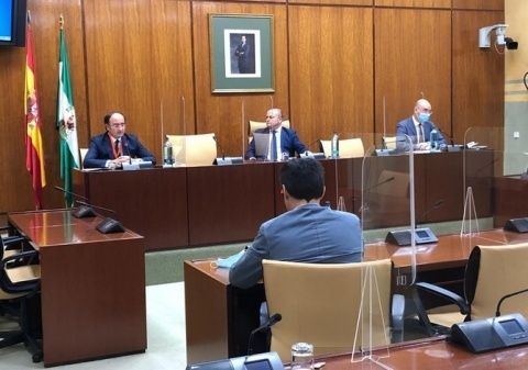 El presidente de la APBA pide un decidido impulso al ferrocarril en la Comisi&oacute;n para la recuperaci&oacute;n econ&oacute;mica y social de Andaluc&iacute;a.