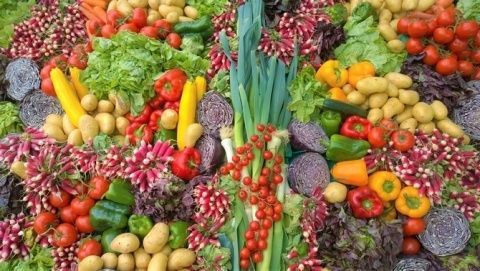 Andaluc&iacute;a contin&uacute;a liderando las exportaciones de alimentos y bebidas de Espa&ntilde;a en los cinco primeros meses del a&ntilde;o.