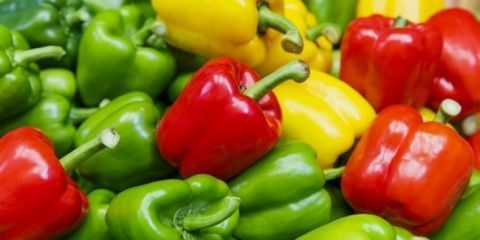 Pimiento. Pimiento.