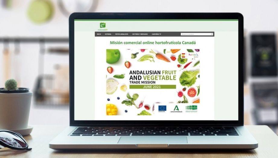 Misi&oacute;n comercial online en la que ha reunido a ocho empresas hortofrut&iacute;colas andaluzas con otros tantos importadores de Canad&aacute;.