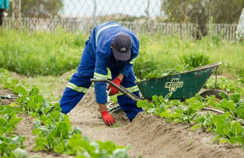 El Fondo está enfocado en financiar a agricultores en áreas rurales en Latinoamérica, Caribe, África subsahariana y Asia. El Fondo está enfocado en financiar a agricultores en áreas rurales en Latinoamérica, Caribe, África subsahariana y Asia.
